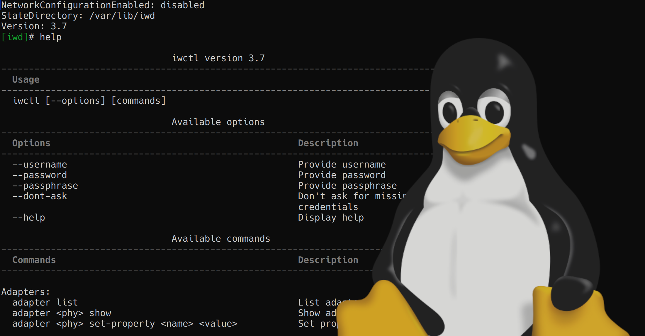 IWD help page on Linux